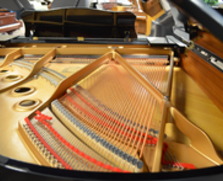 Yamaha C2 grand with QRS Pianomation 3